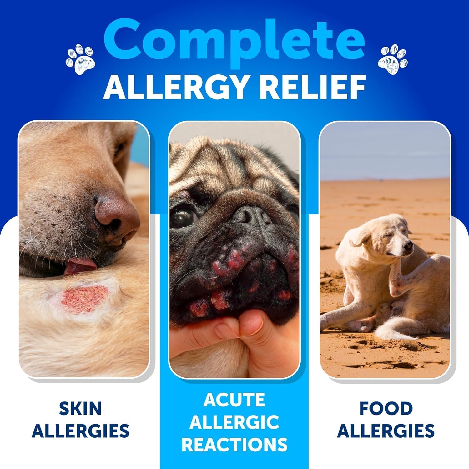 Artullano Dog Allergy Relief Chews treats on countertop for daily itch routine