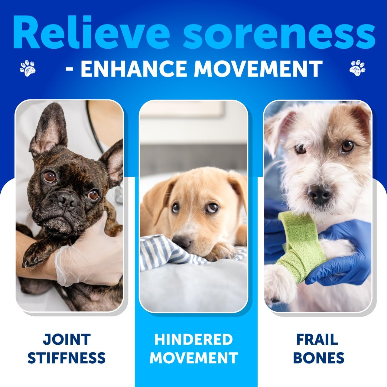 Artullano dog joint supplement ingredients panel highlighting chondroitin and MSM.