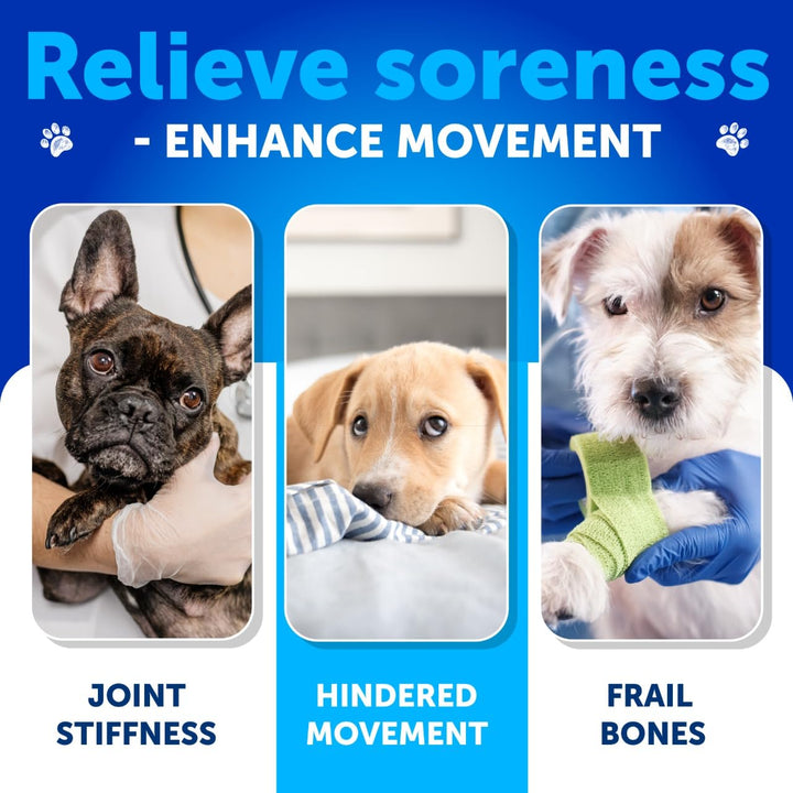 Artullano dog joint supplement ingredients panel highlighting chondroitin and MSM.