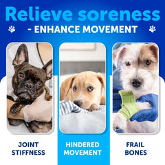 Artullano dog joint supplement ingredients panel highlighting chondroitin and MSM.