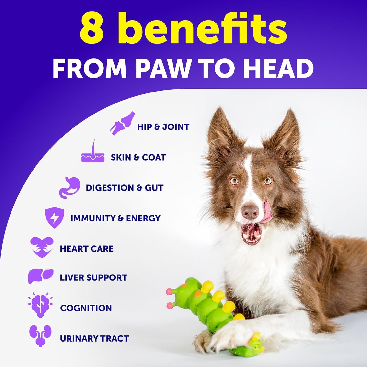 Artullano dog joint support chews promoting mobility.