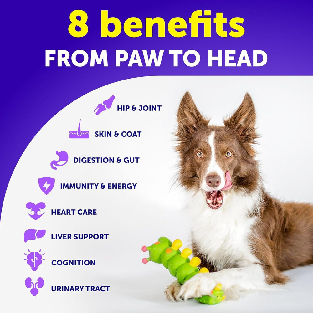 Artullano dog joint support chews promoting mobility.
