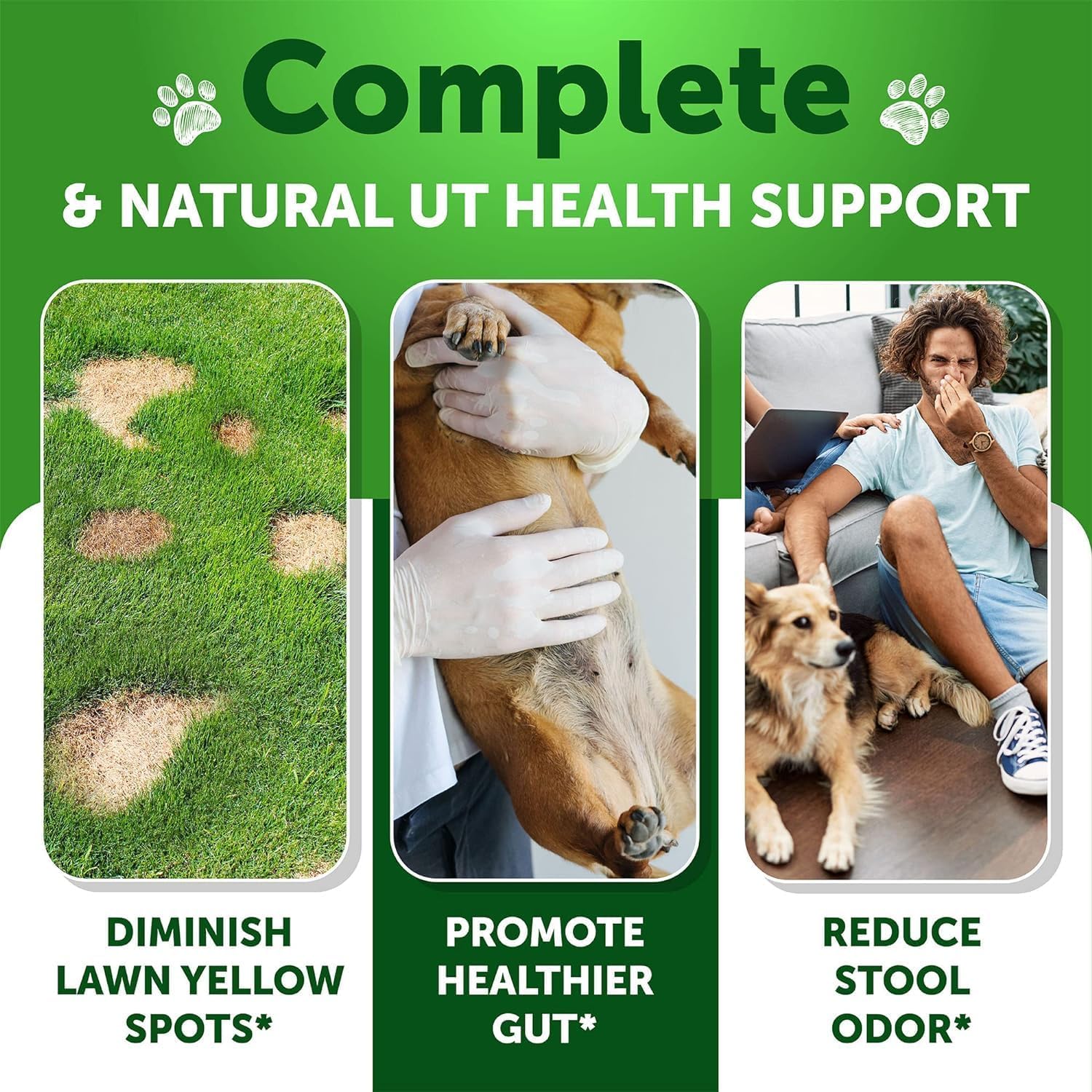Artullano Grass Burn Spot Chews dog enjoying a duck-flavored chew for urinary balance