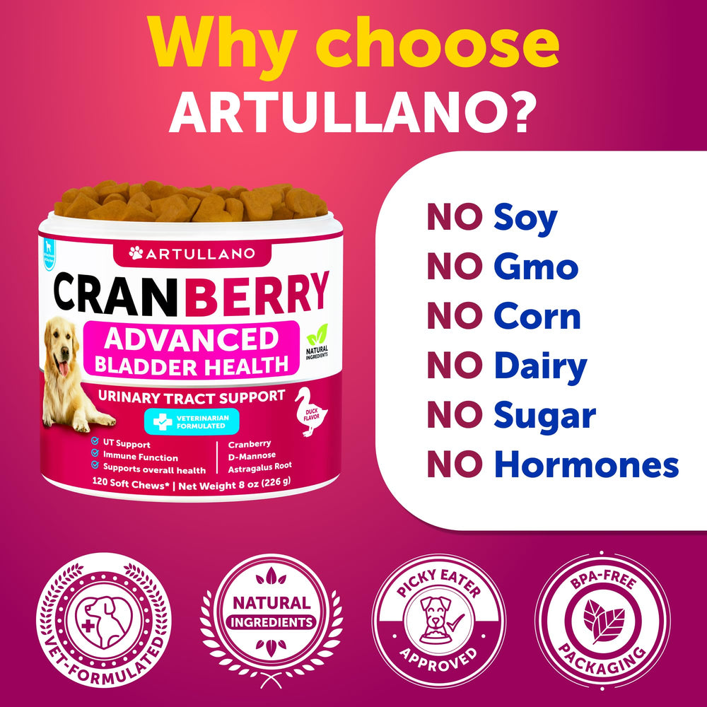 Artullano pumpkin in treats adds fiber and flavor for digestive wellness.