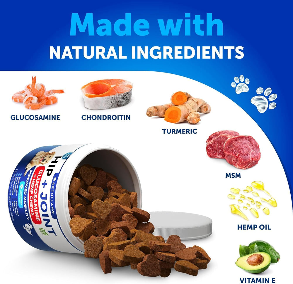 Artullano glucosamine chondroitin MSM hemp oil dog supplement bottle shot.