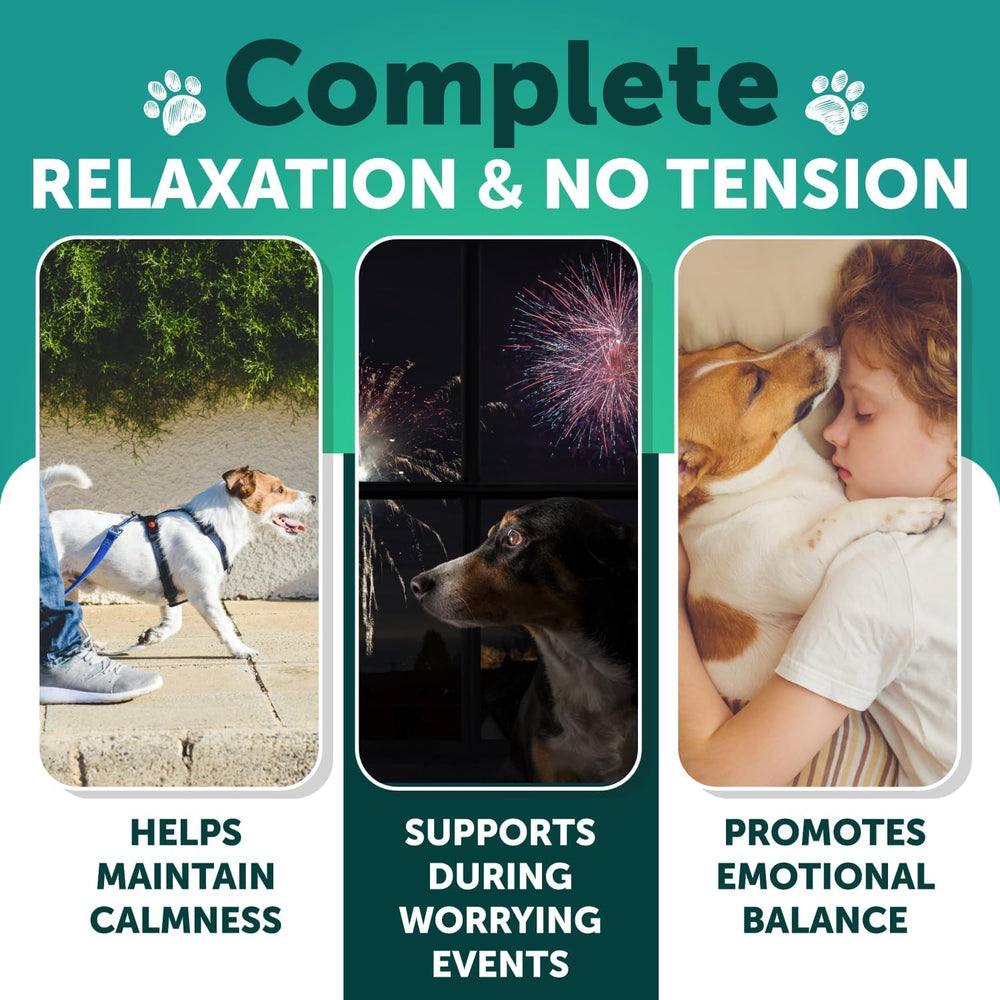 Artullano calming chews closeup highlighting natural ingredients for joint comfort