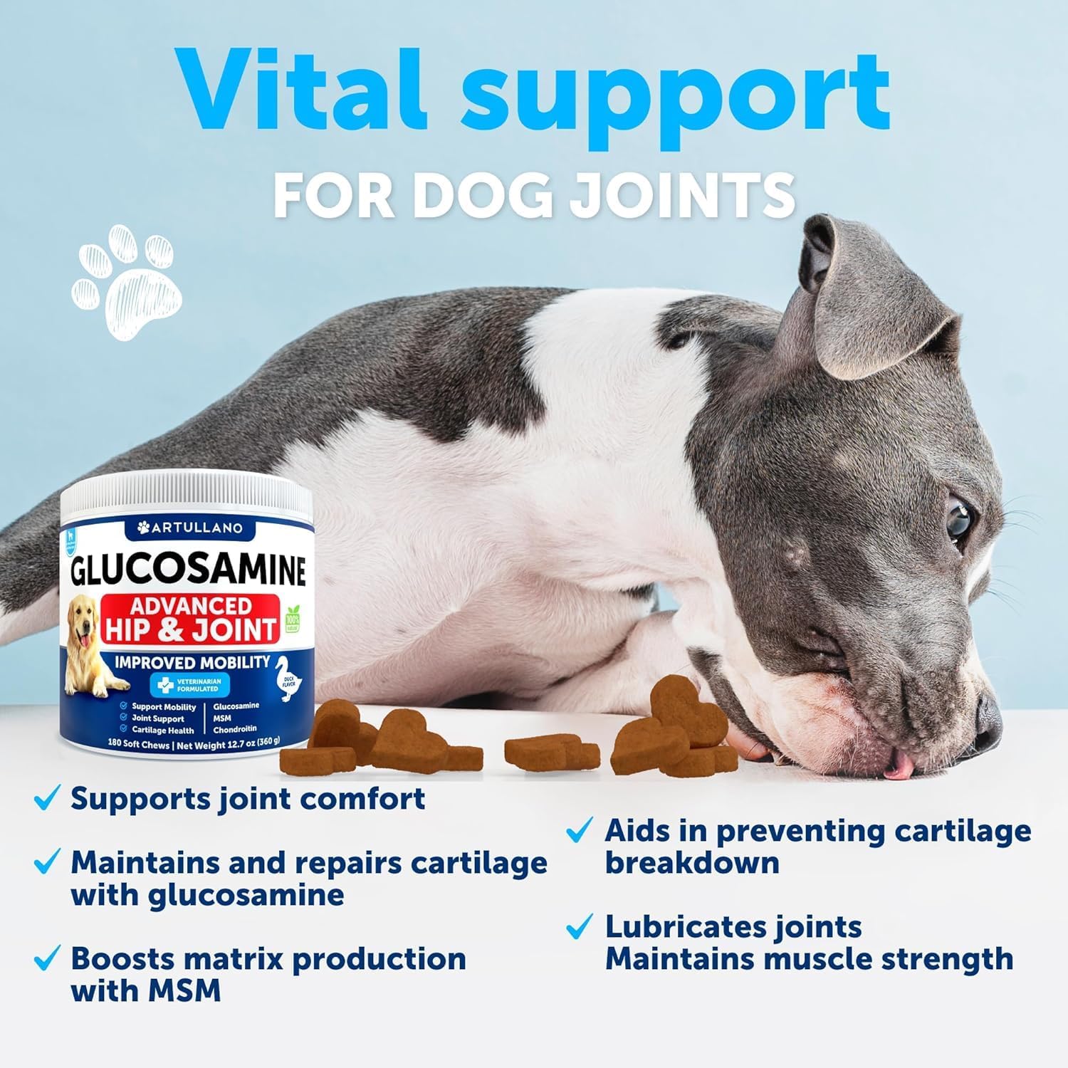 Artullano large-breed dog in active pose illustrating mobility support.