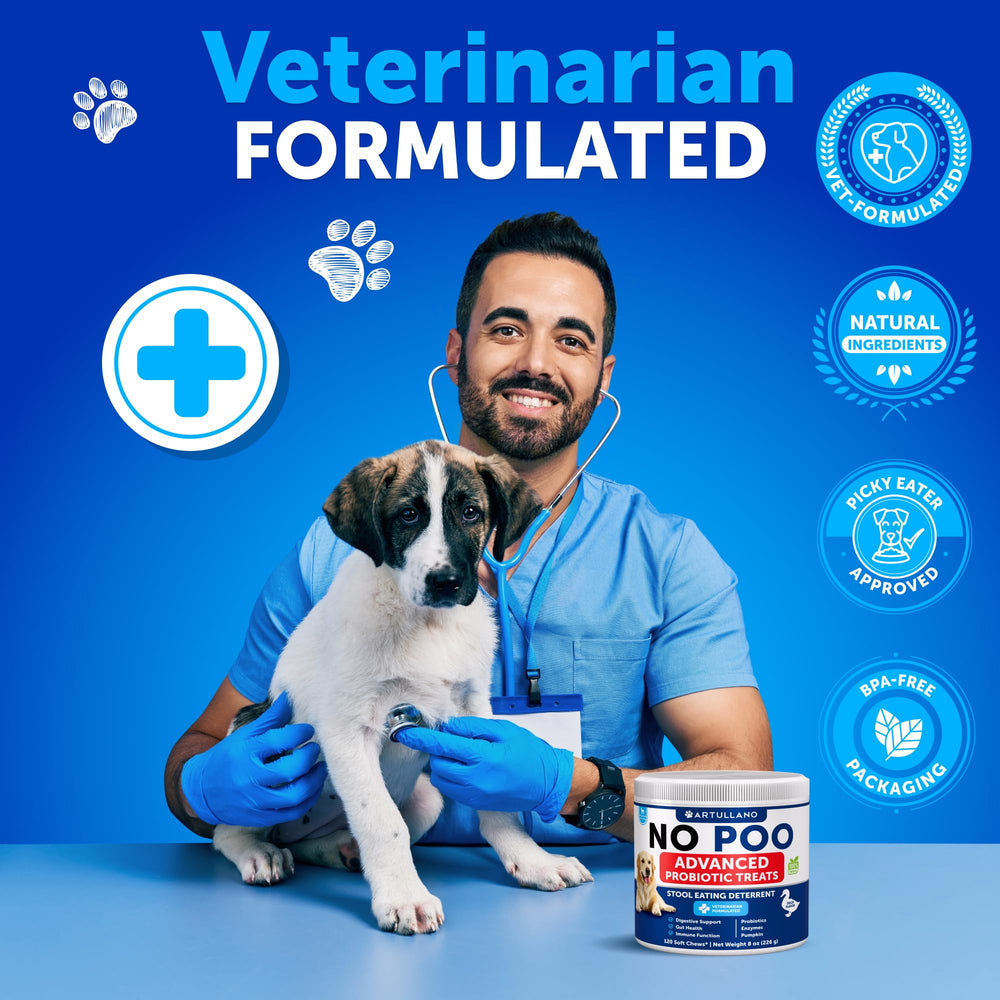 Happy dog enjoying Artullano No Poo Chews during daily routine.