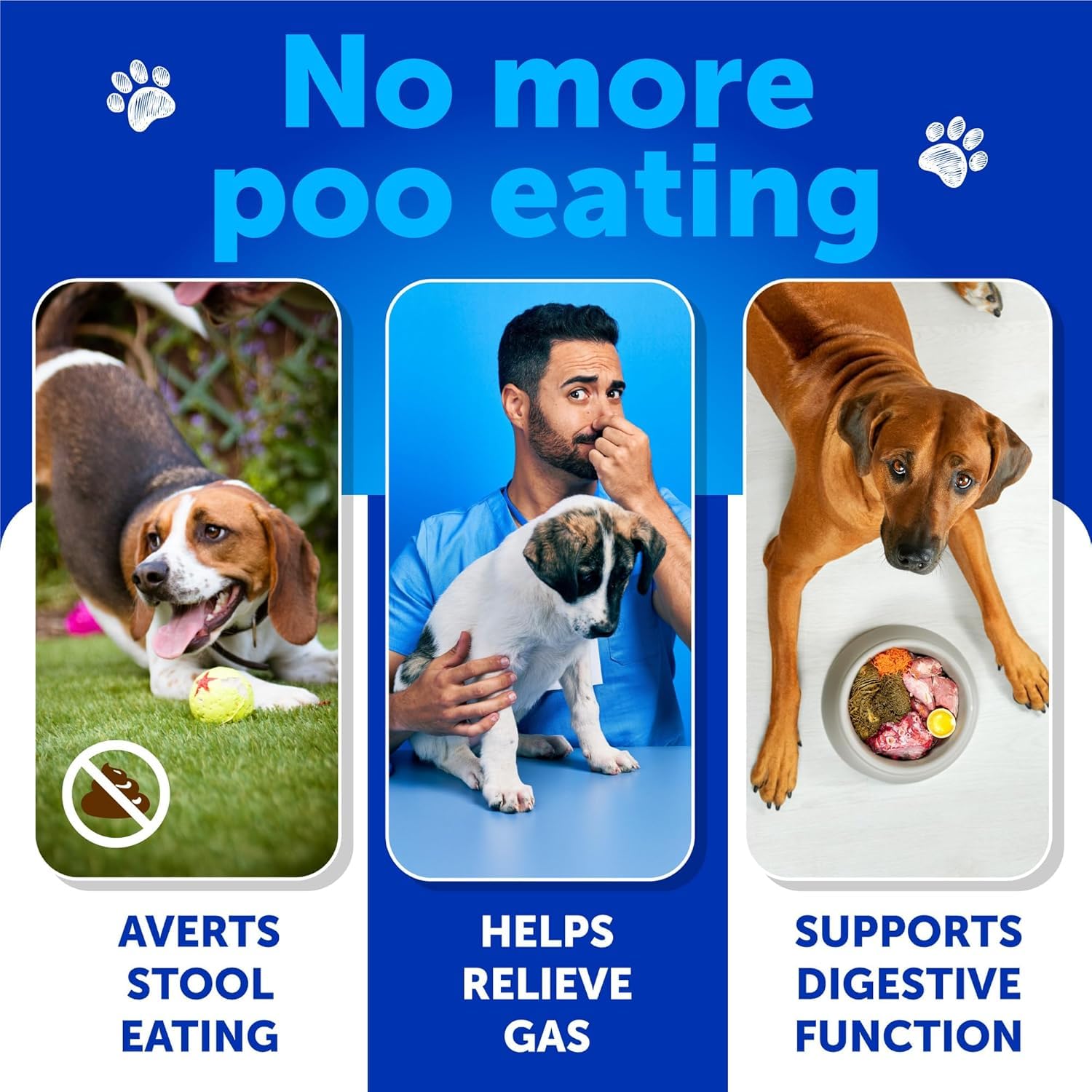 Artullano No Poo Chews in a dish suggest a tasty option for digestion