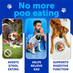 Artullano No Poo Chews in a dish suggest a tasty option for digestion