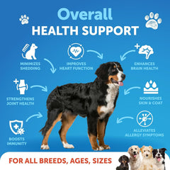 Artullano Omega-3 Dog Oil coat shine promotes a healthy, vibrant look for all breeds.