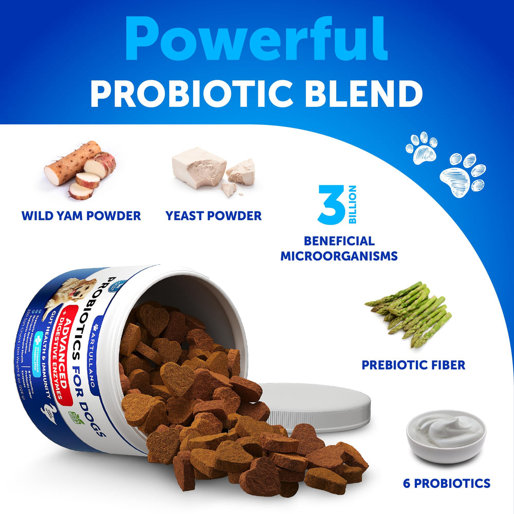 Artullano probiotics support skin comfort and immune balance in dogs.