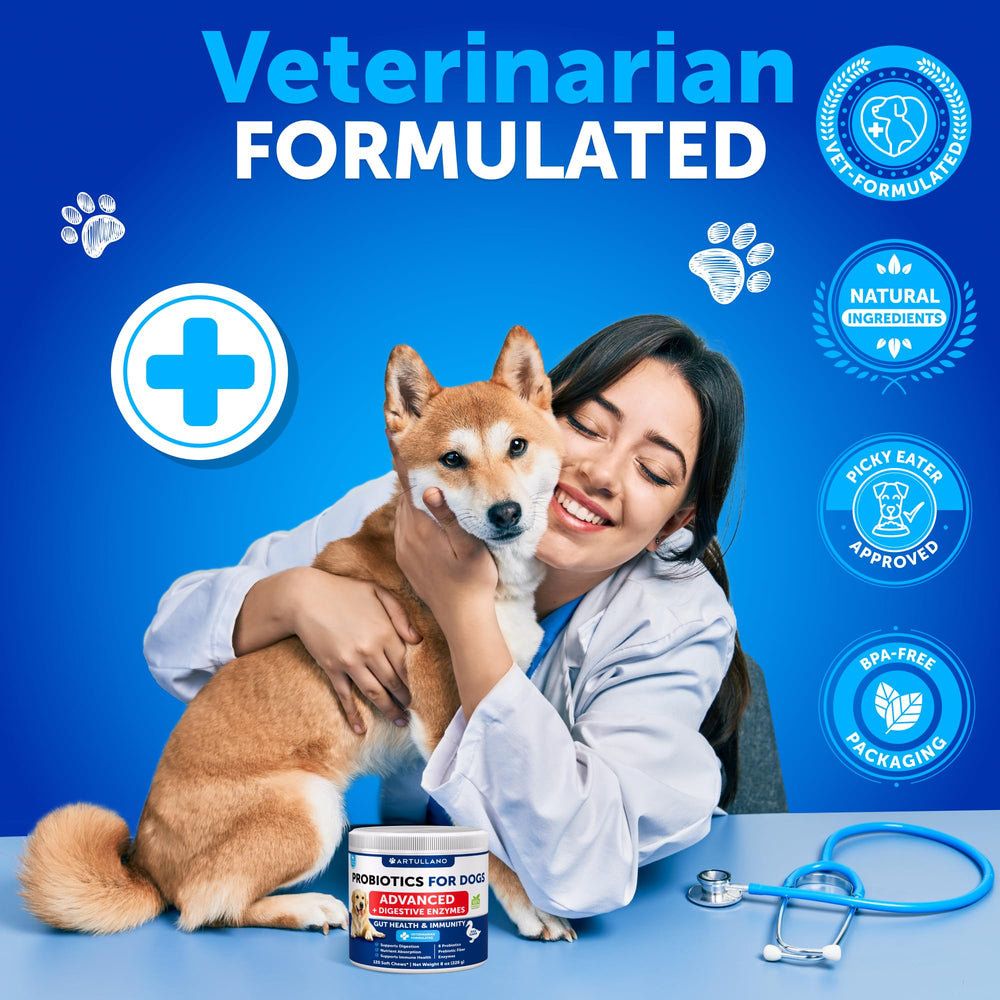 Two-pack Artullano probiotics for dogs shown with soft chews.