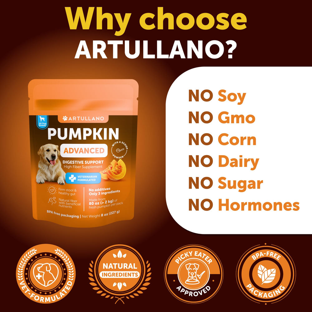 Artullano pumpkin powder in a bowl suggesting digestive balance