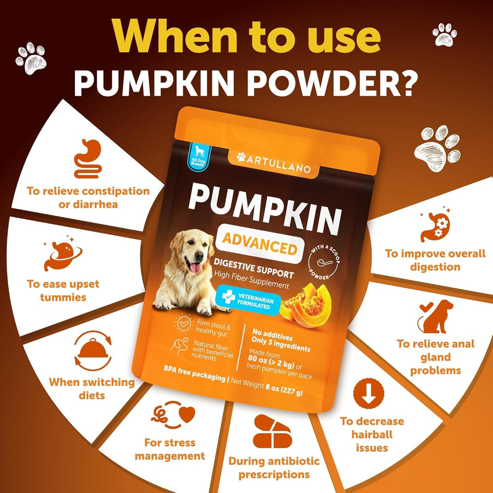 Artullano pumpkin powder scoop showing easy mixing for meals