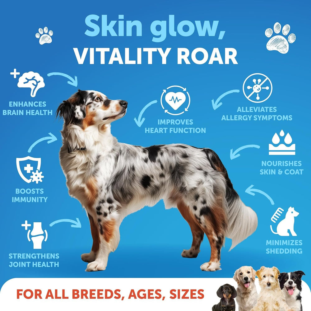 Artullano Salmon Oil for Dogs pour shows easy dosing and real-time joint and coat benefits.