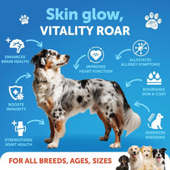 Artullano Salmon Oil for Dogs pour shows easy dosing and real-time joint and coat benefits.