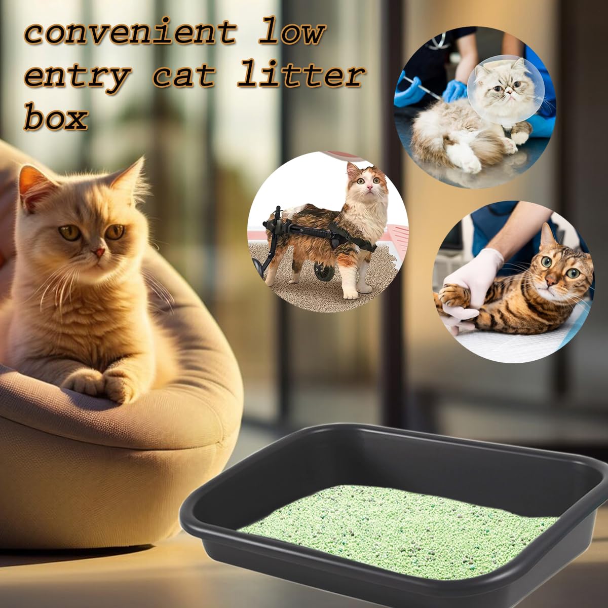 Artuxer durable plastic litter box designed for long-term daily use.
