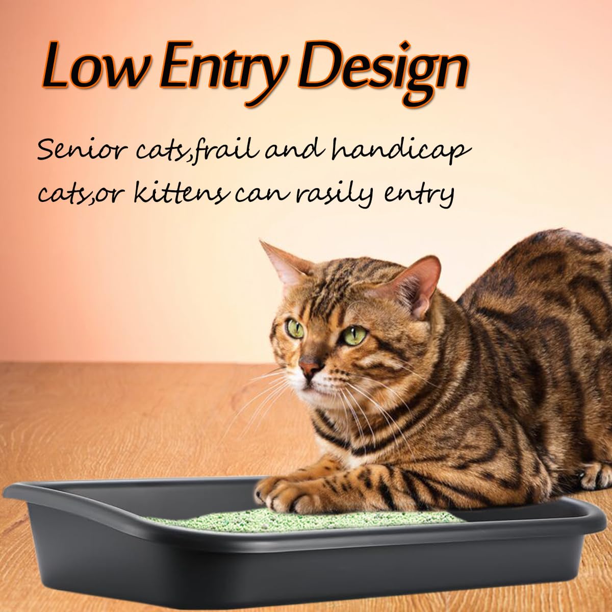 Artuxer portable design makes setup and relocation simple for home or travel.