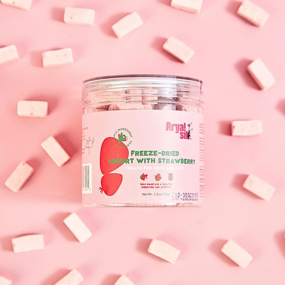 Arya Sit! freeze-dried strawberry yogurt dog treat bowl showcases tasty snack-time reward.