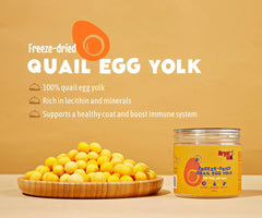 Arya Sit! high-protein quail egg yolk for dogs and cats.