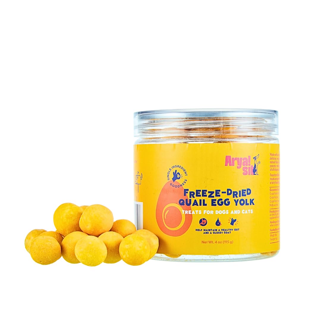 Arya Sit! quail egg yolk treat in a jar, protein-rich snack for pets.