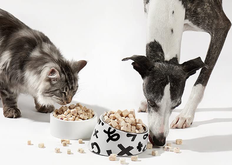 Arya Sit training reward bites ideal for practice sessions