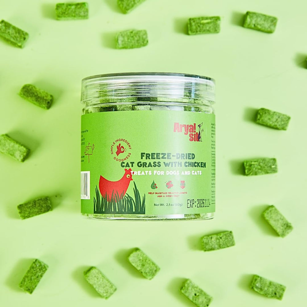 Arya Sit! cat grass and chicken bites close-up reveals real ingredients for snacking.