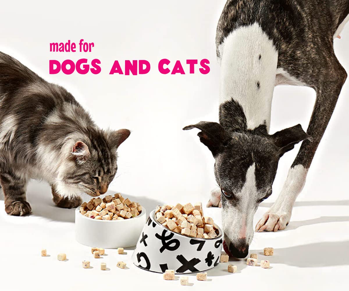 Arya Sit! dog-cat friendly ingredients suit homes with multiple pets.