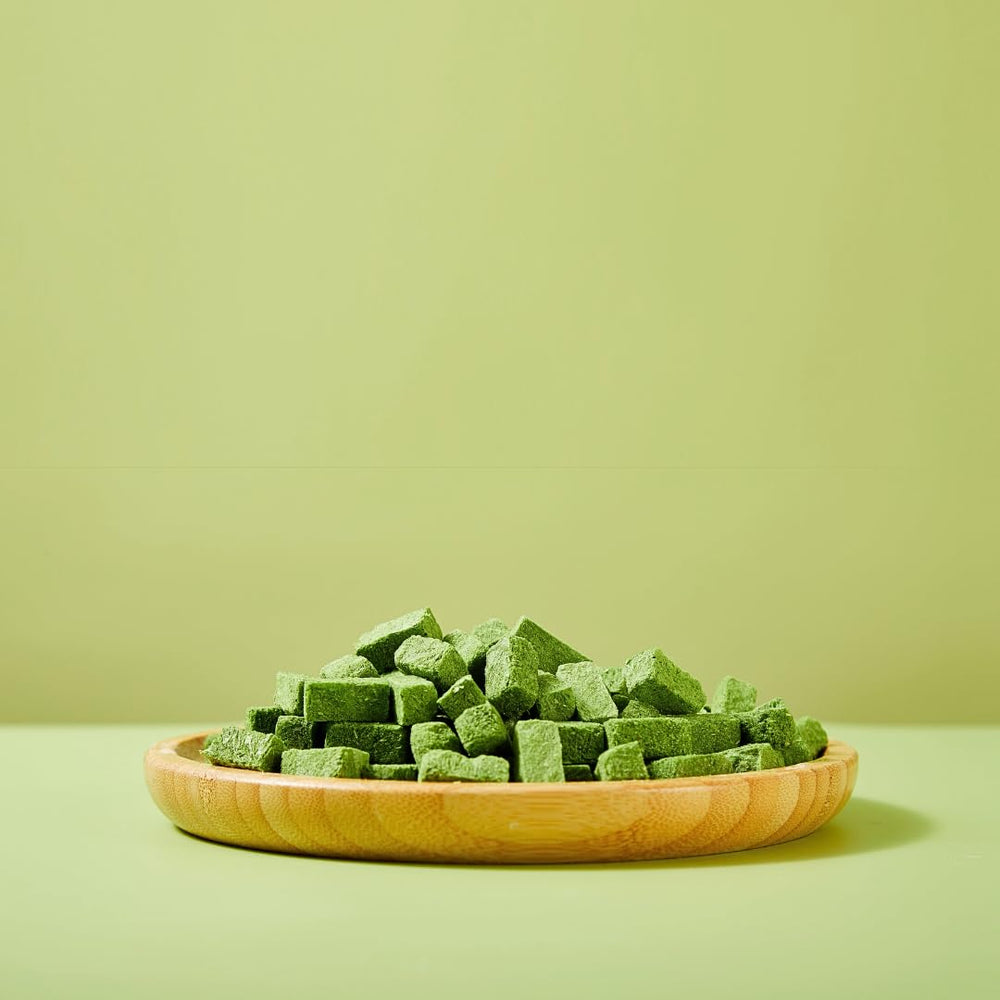 Arya Sit! fresh small-batch production highlights quality and preserved nutrition.