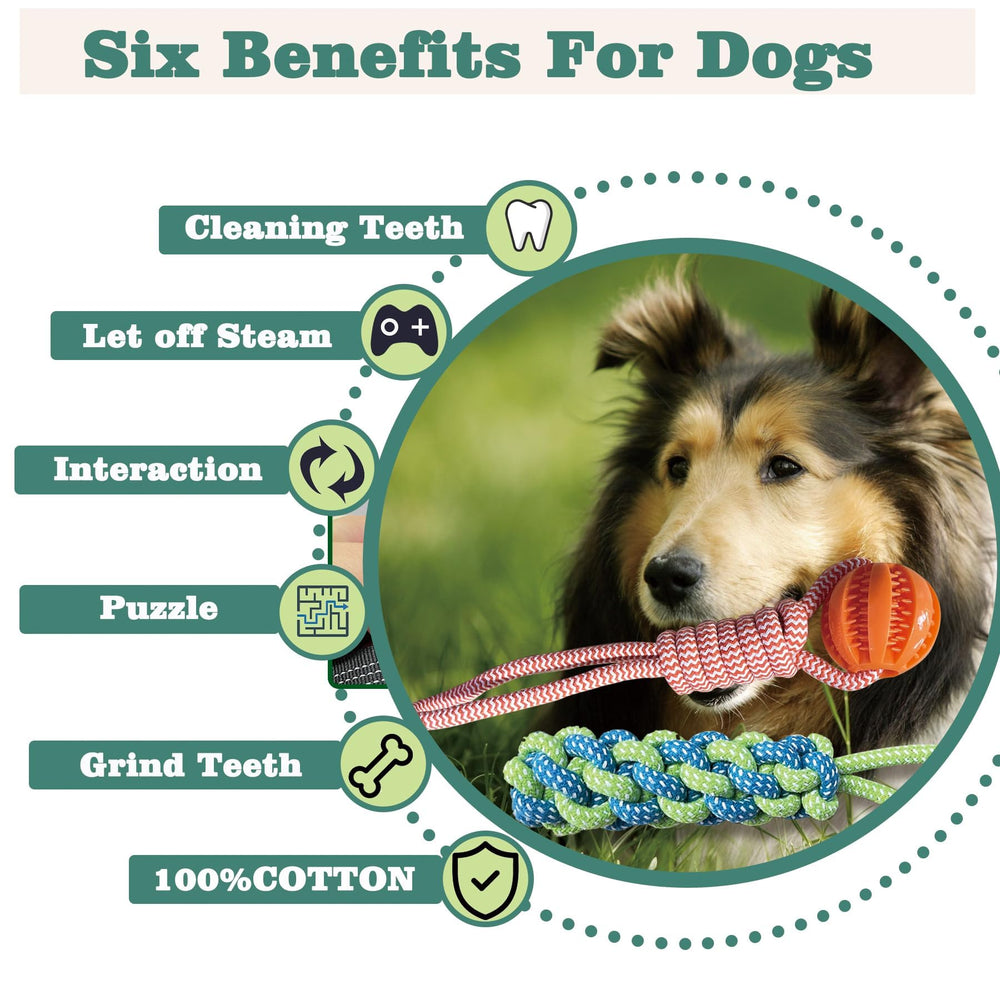 ASDICOXB dog tug toy for indoor outdoor use in blue
