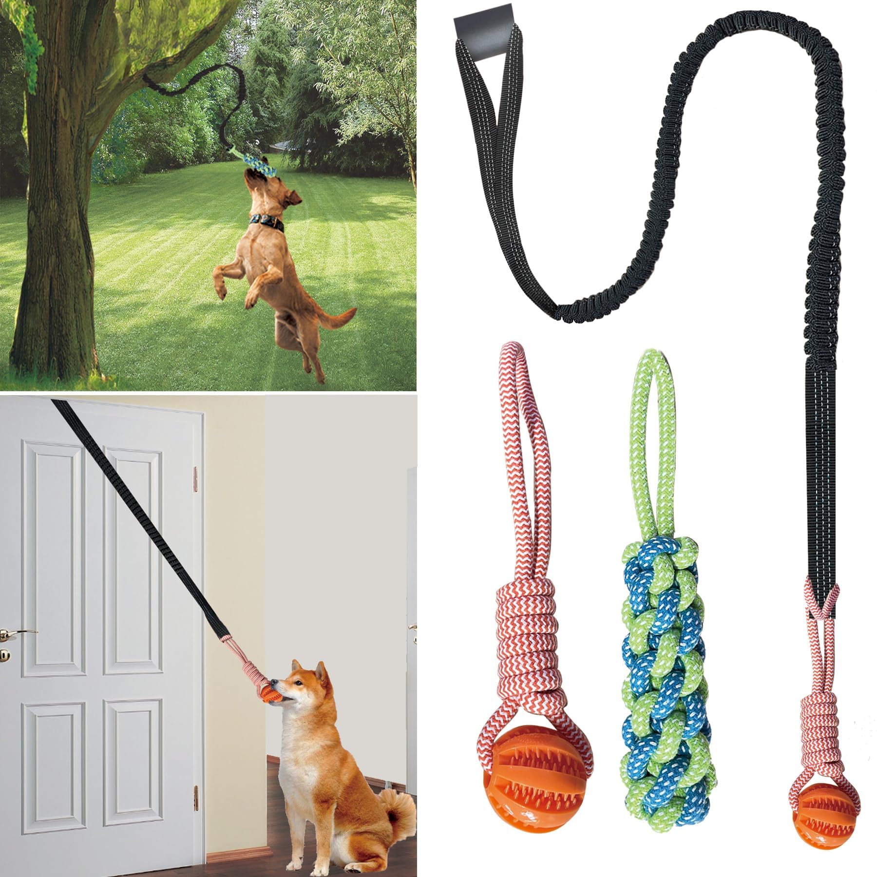 ASDICOXB reinforced rope and ball in blue for durable chewers