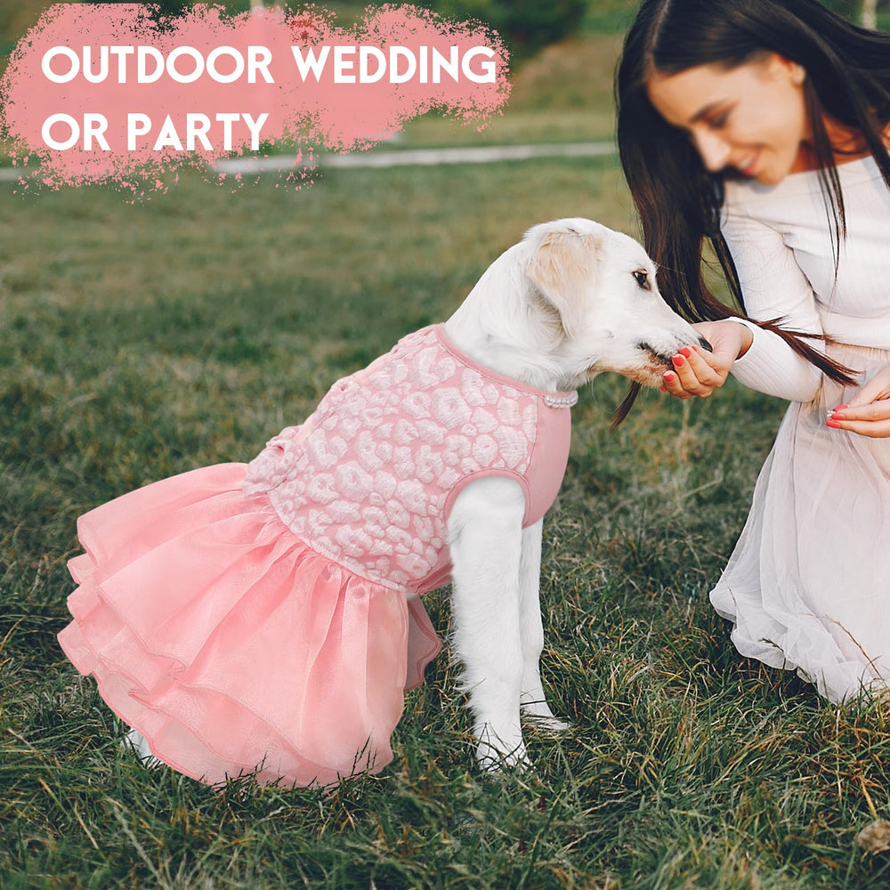 ASENKU wedding party look suits dogs of various sizes
