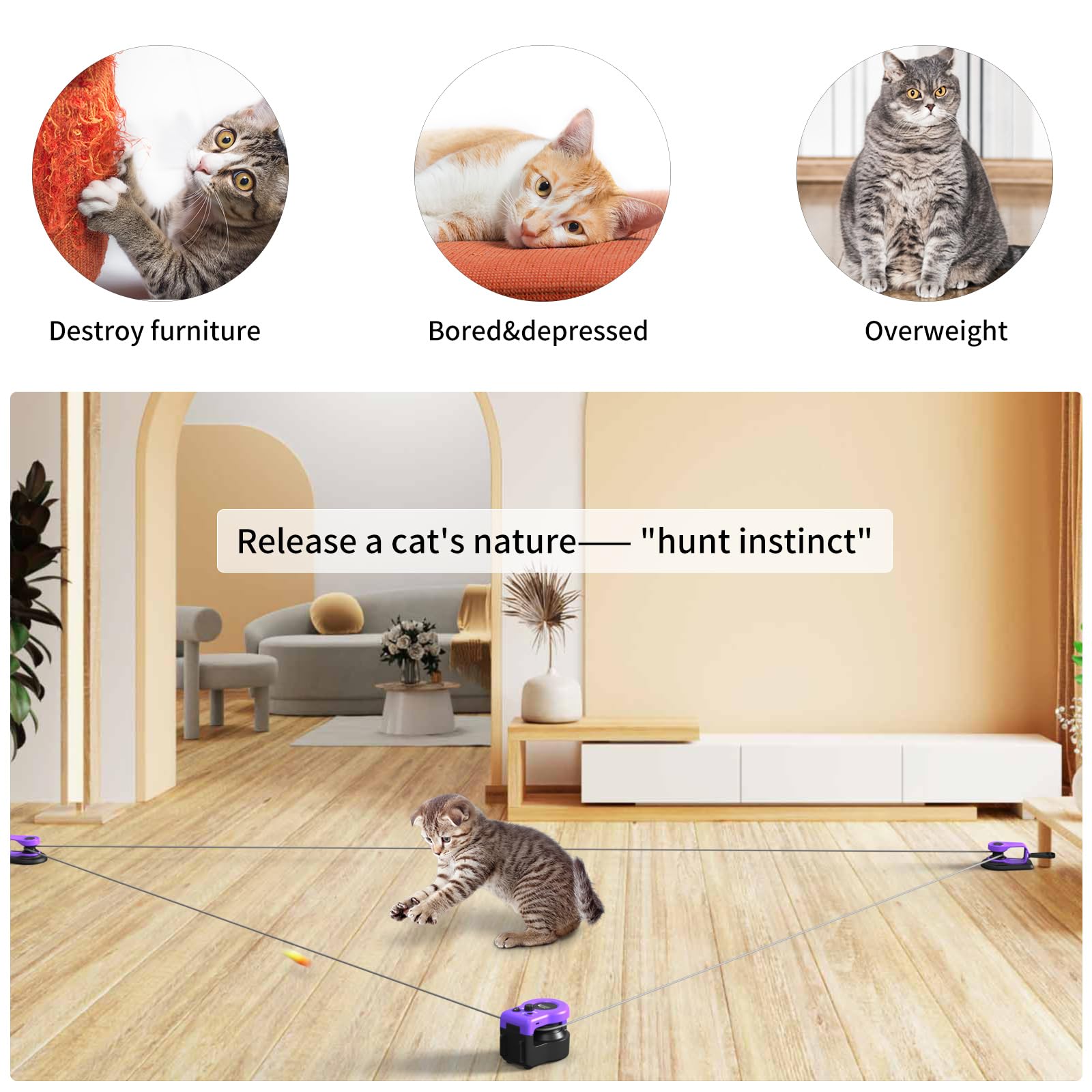 AsFrost feather mouse combo triggers hunting instinct during indoor play.