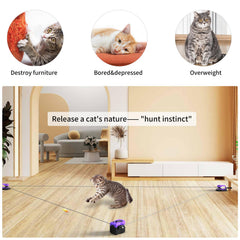 AsFrost feather mouse combo triggers hunting instinct during indoor play.
