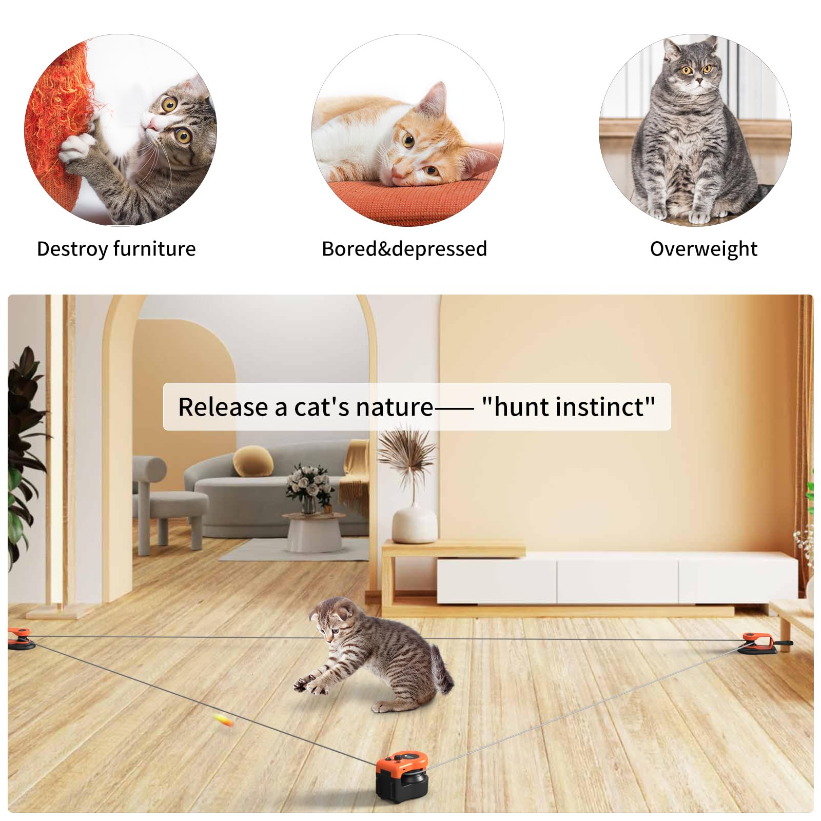 AsFrost safety-protection mode ensures safe, paced play sessions for busy cats.