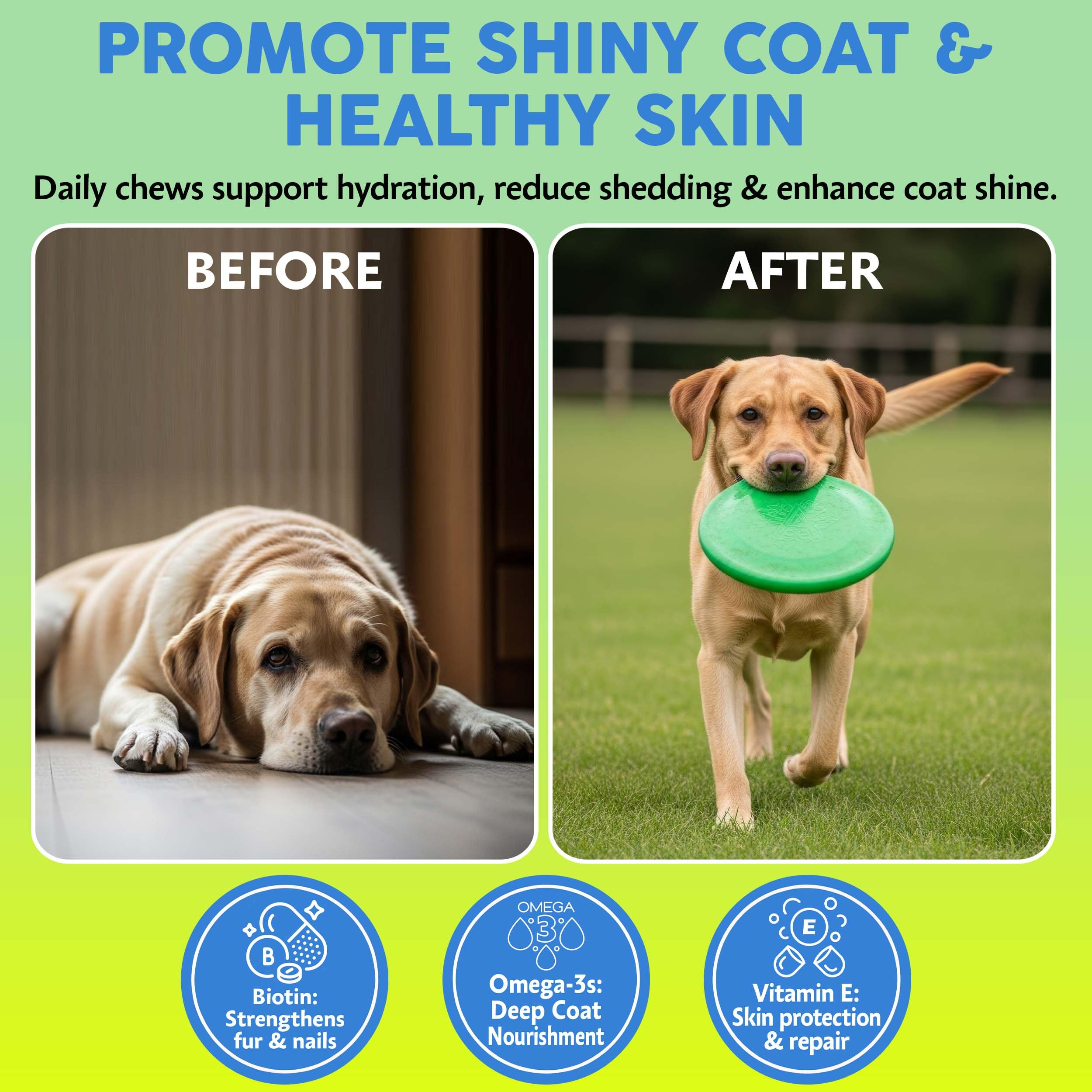 Asher House Wellness chew serving eases itchy skin for dogs
