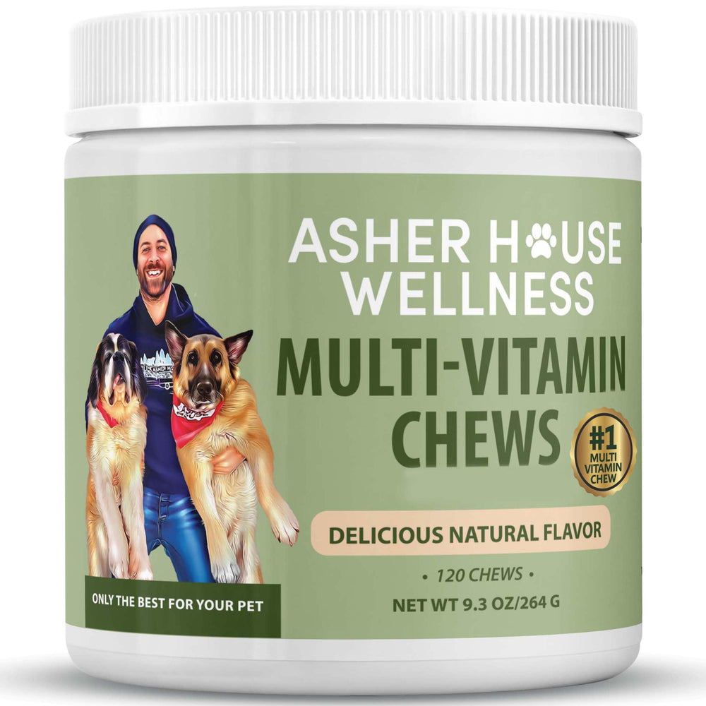 Asher House Wellness dog multivitamin chews bottle top supports daily vitality and heart health.