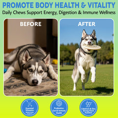 Asher House Wellness dog multivitamin chews label closeup highlights digestive balance and immune support.