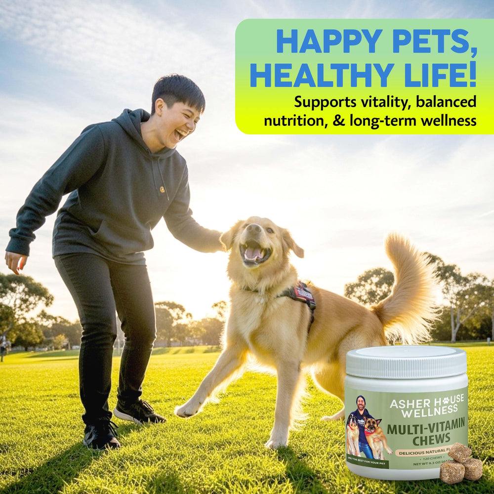 Asher House Wellness dog senior-puppy life-stage boost image signals suitability for all life stages.