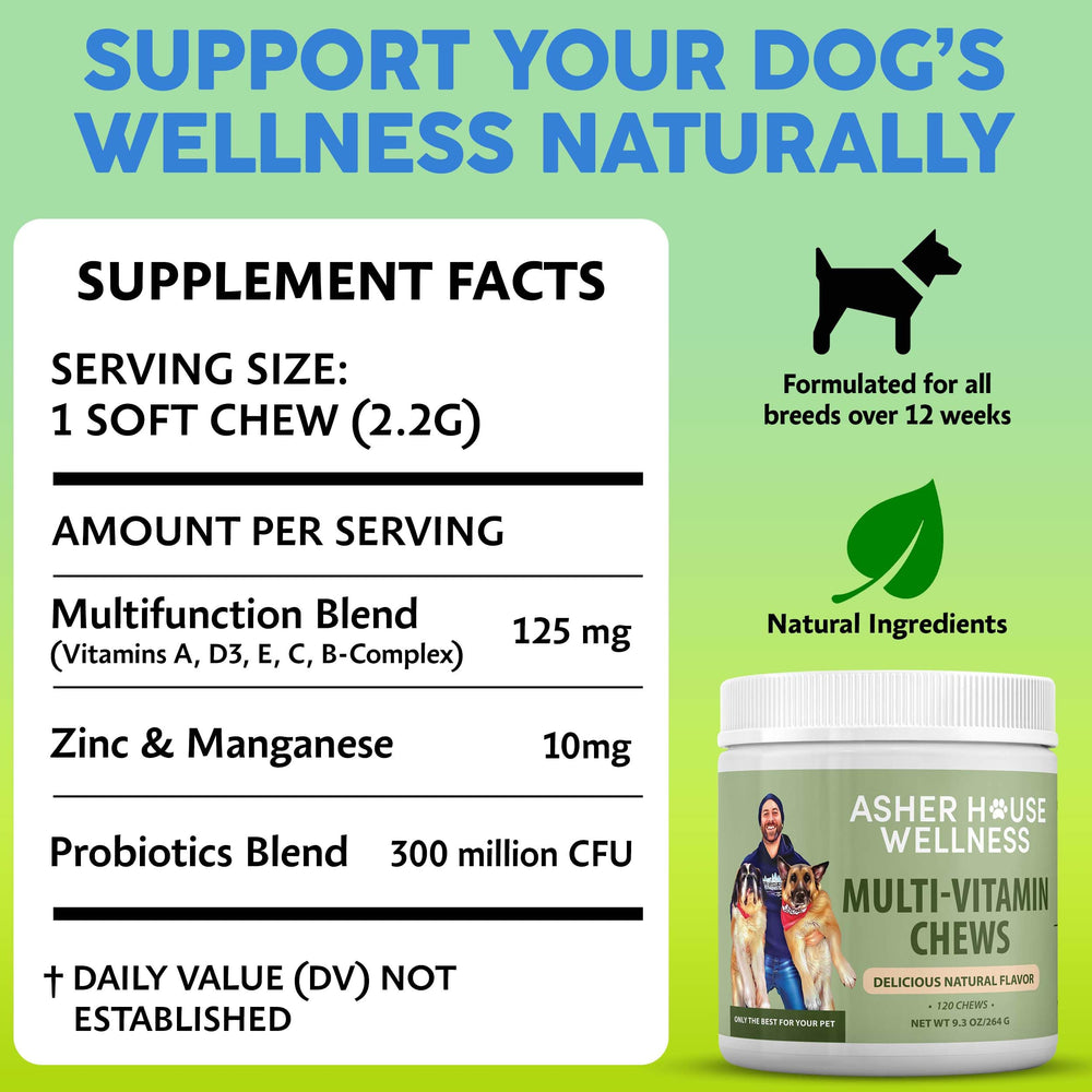 Asher House Wellness probiotic dog chews bottle highlights gut health and immune defenses.