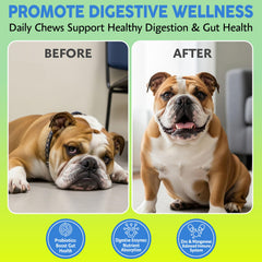 Asher House Wellness Probiotics dog chews closeup highlighting tasty flavor.