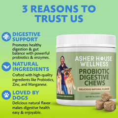 Asher House Wellness Probiotics dog chews with owner promoting routine.