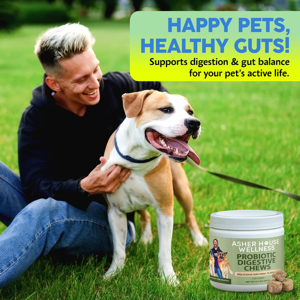 Asher House Wellness Probiotics dog treats in jar for regular use.