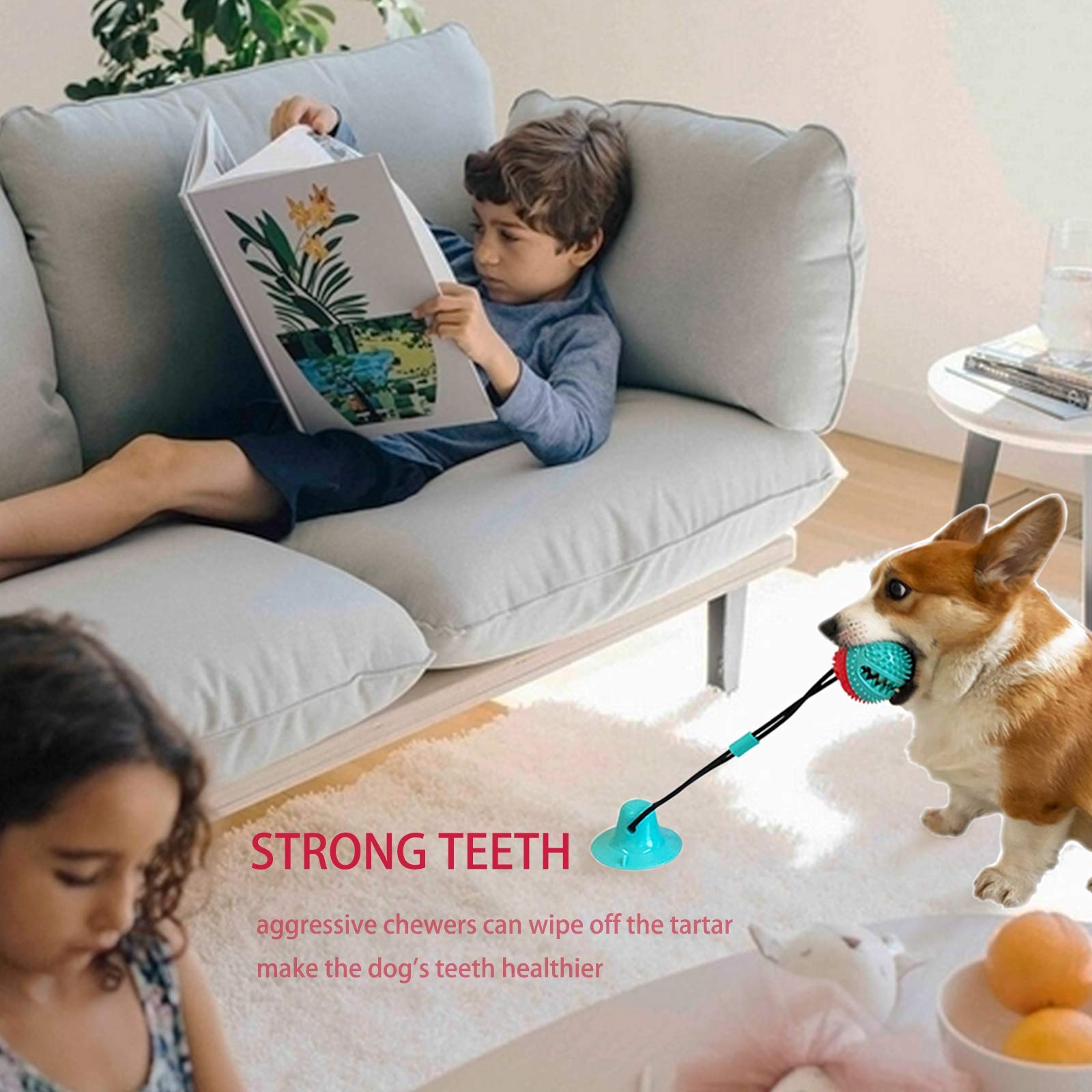 Askhald ball with internal bell adds audible stimulation during fetch