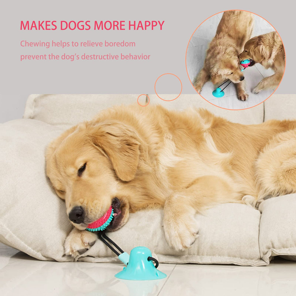 Askhald puppy training treat ball toy combines chewing with rewards during training
