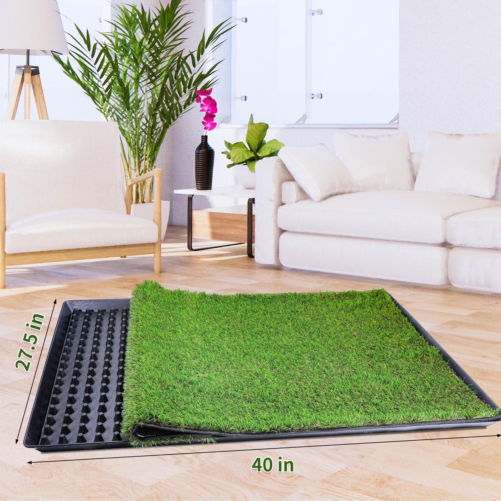 ASKIZ no-assembly setup lets you place and go quickly.