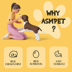 ASMPET chicken jerky high-protein snack with taurine for energy