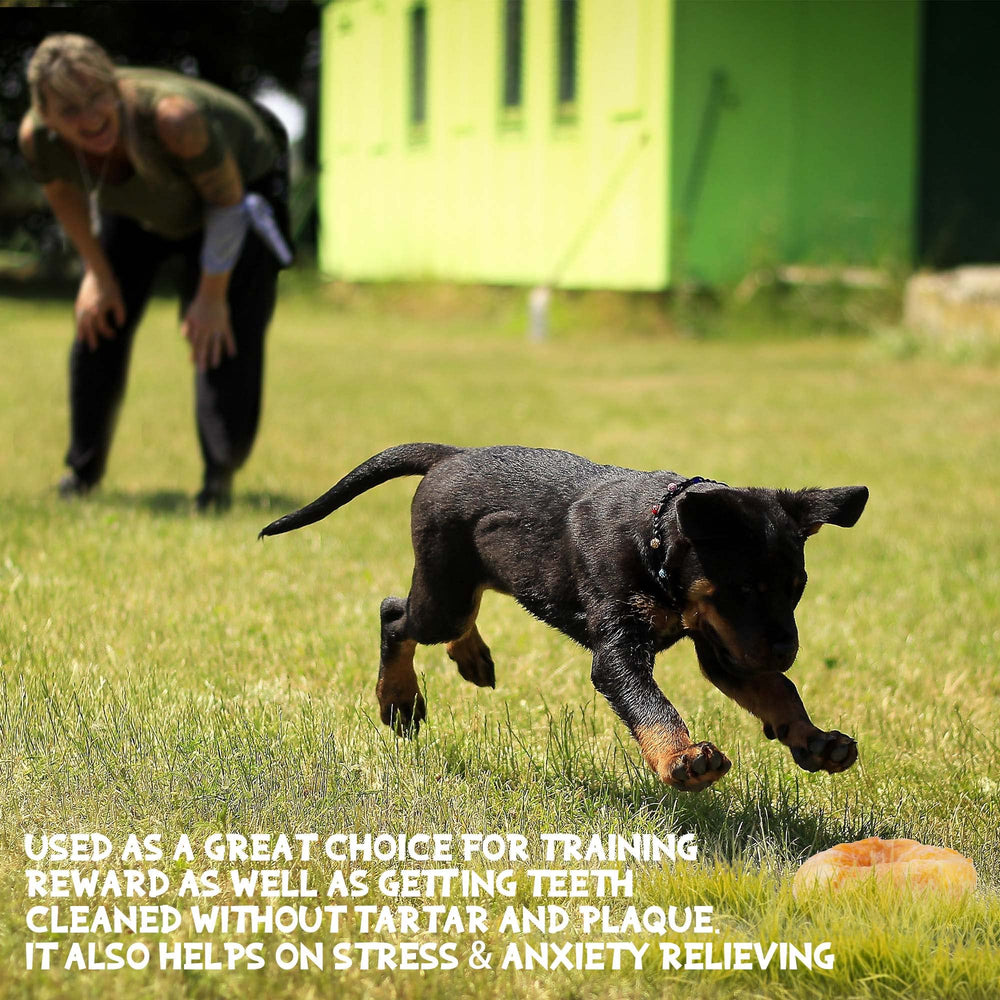 ASMPET natural rawhide donuts with collagen-rich texture for coat-friendly chew.