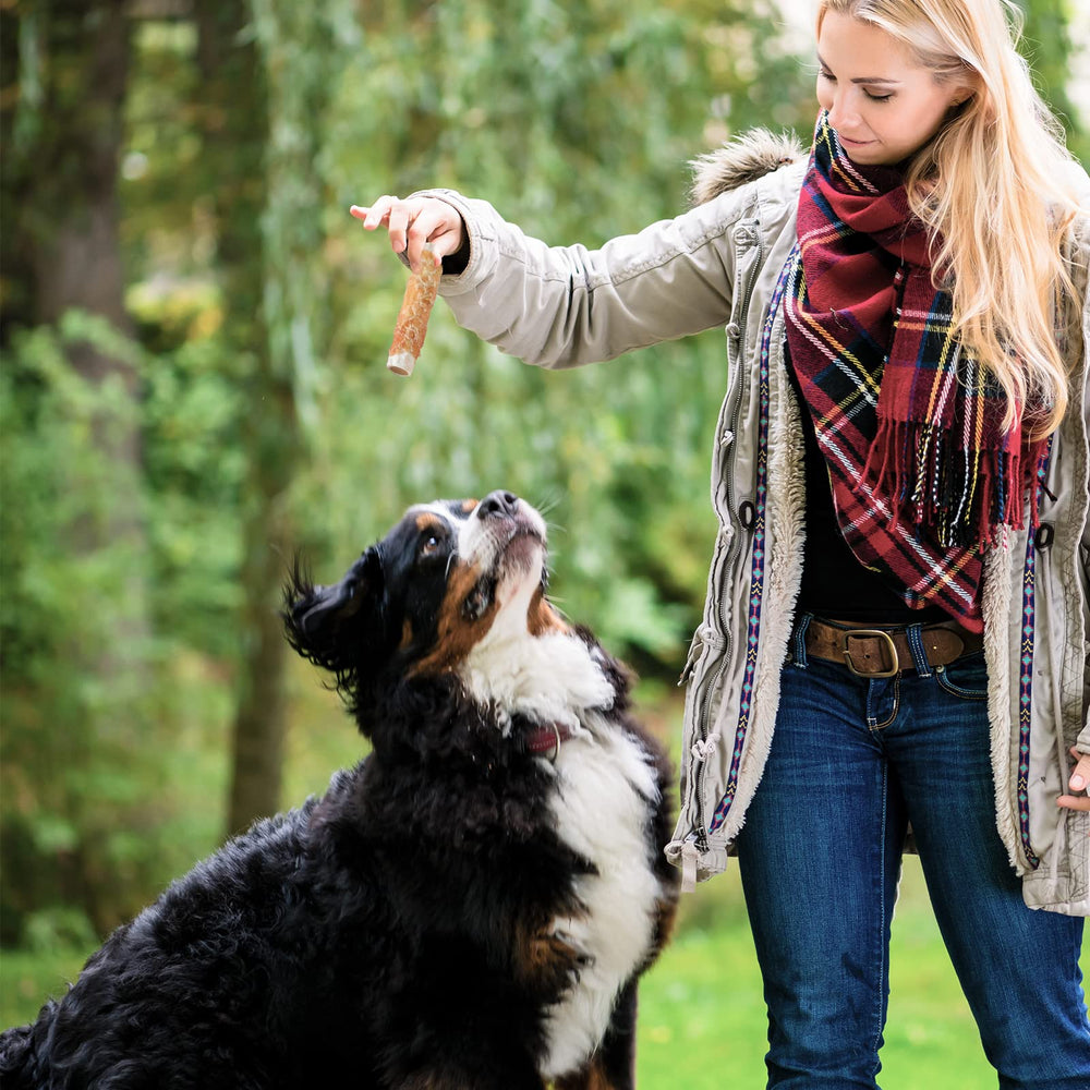 ASMPET dog treats bones multi-pack, easy sharing with family pets.